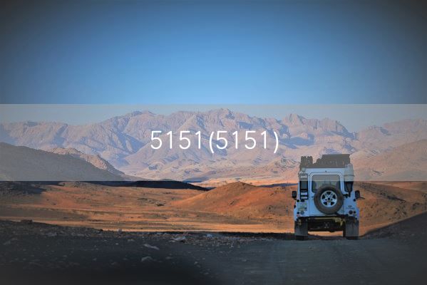 5151(5151)(图1)