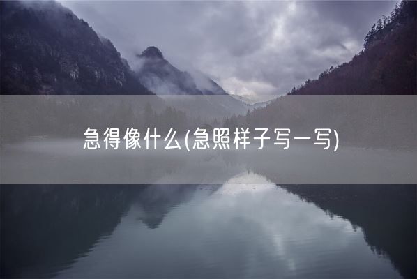 急得像什么(急照样子写一写)(图1)