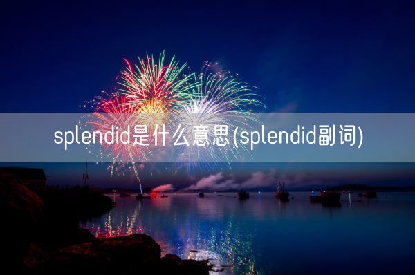 splendid是什么意思(splendid副词)(图1)