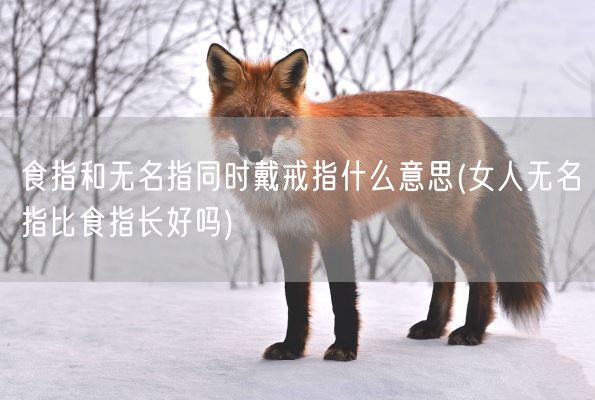 食指和无名指同时戴戒指什么意思(女人无名指比食指长好吗)(图1)