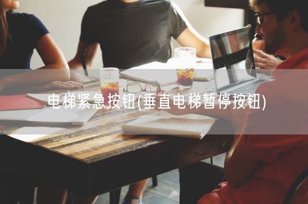 电梯紧急按钮(垂直电梯暂停按钮)(图1) 电梯紧急按钮(垂直电梯暂停按钮)(图1)