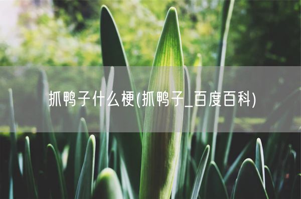 抓鸭子什么梗(抓鸭子_百度百科)(图1) 抓鸭子什么梗(抓鸭子_百度百科)(图1)