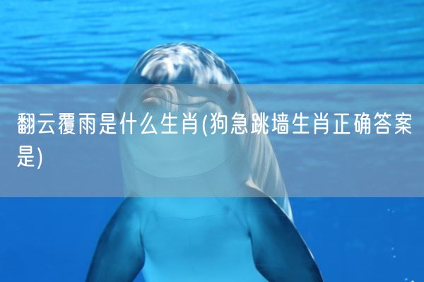 翻云覆雨是什么生肖(狗急跳墙生肖正确答案是)(图1)