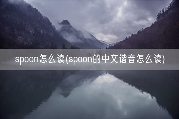 spoon怎么读(spoon的中文谐音怎么读)(图1)