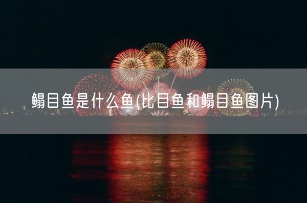 鳎目鱼是什么鱼(比目鱼和鳎目鱼图片)(图1) 鳎目鱼是什么鱼(比目鱼和鳎目鱼图片)(图1)