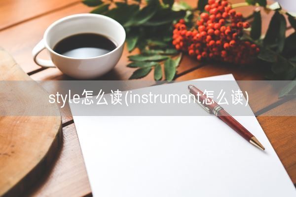 style怎么读(instrument怎么读)(图1)
