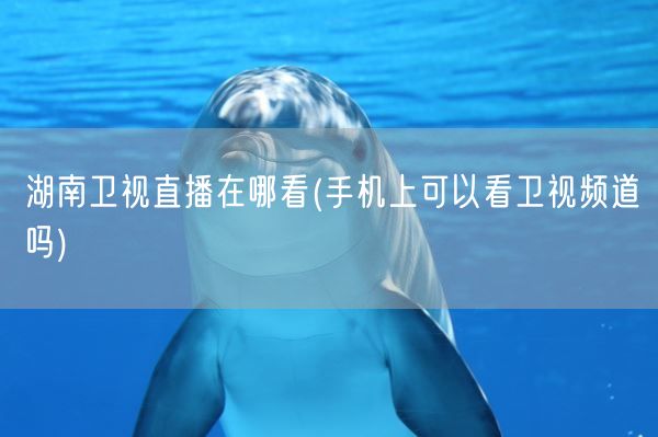 湖南卫视直播在哪看(手机上可以看卫视频道吗)(图1)