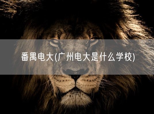 番禺电大(广州电大是什么学校)(图1)