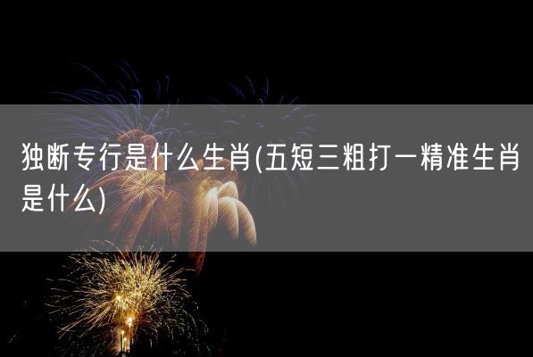 独断专行是什么生肖(五短三粗打一精准生肖是什么)(图1)