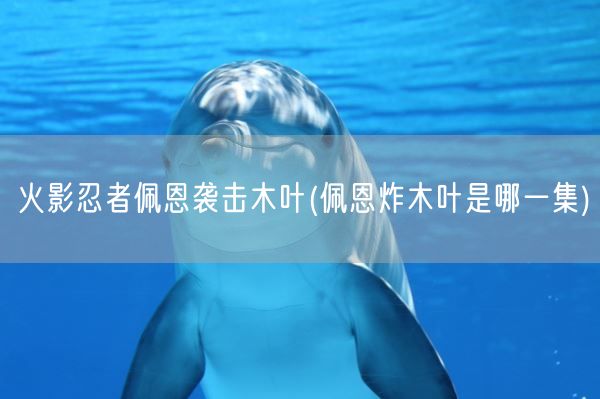 火影忍者佩恩袭击木叶(佩恩炸木叶是哪一集)(图1)