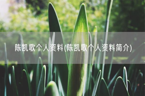 陈凯歌个人资料(陈凯歌个人资料简介)(图1) 陈凯歌个人资料(陈凯歌个人资料简介)(图1)