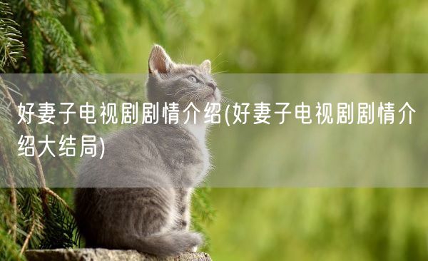 好妻子电视剧剧情介绍(好妻子电视剧剧情介绍大结局)(图1) 好妻子电视剧剧情介绍(好妻子电视剧剧情介绍大结局)(图1)