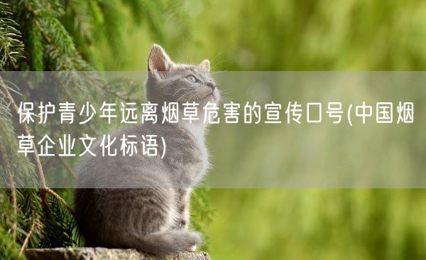 保护青少年远离烟草危害的宣传口号(中国烟草企业文化标语)(图1)