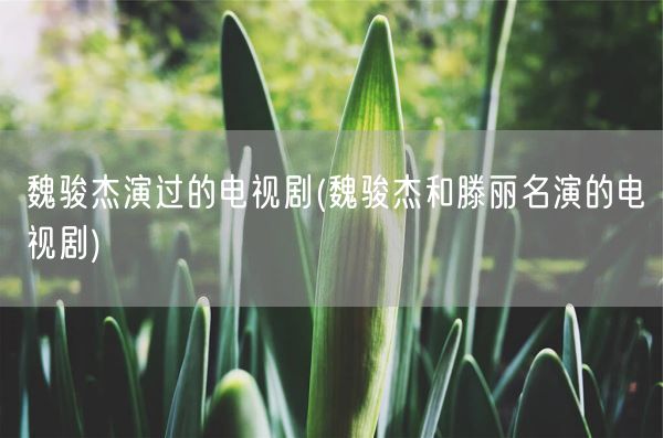 魏骏杰演过的电视剧(魏骏杰和滕丽名演的电视剧)(图1)