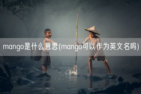 mango是什么意思(mango可以作为英文名吗)(图1) mango是什么意思(mango可以作为英文名吗)(图1)