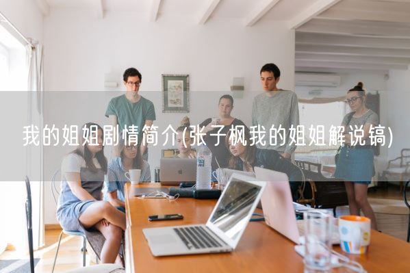 我的姐姐剧情简介(张子枫我的姐姐解说镐)(图1)