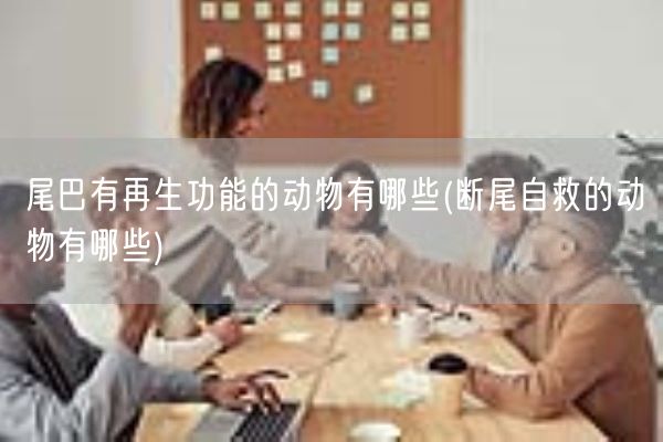 尾巴有再生功能的动物有哪些(断尾自救的动物有哪些)(图1) 尾巴有再生功能的动物有哪些(断尾自救的动物有哪些)(图1)