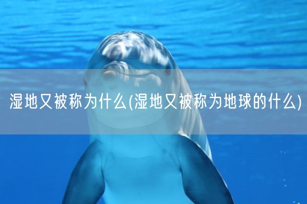 湿地又被称为什么(湿地又被称为地球的什么)(图1)