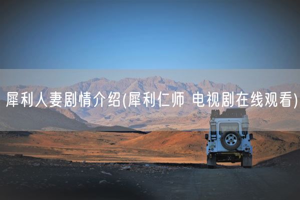 犀利**剧情介绍(犀利仁师 电视剧在线观看)(图1)