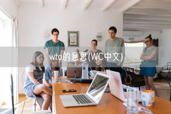 wto的意思(WC中文)(图1)