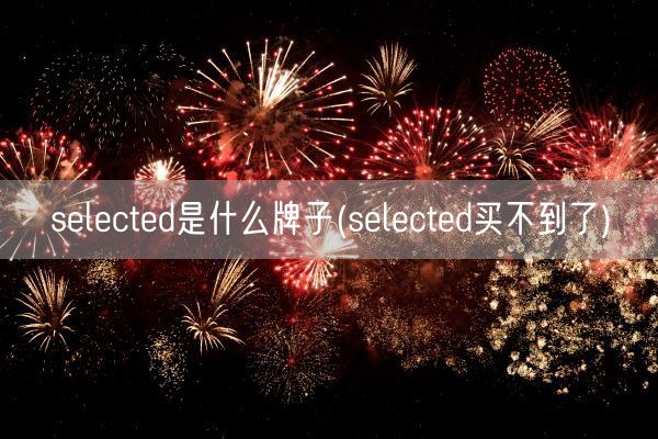 selected是什么牌子(selected买不到了)(图1)
