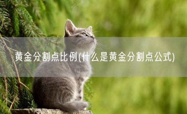 黄金分割点比例(什么是黄金分割点公式)(图1)
