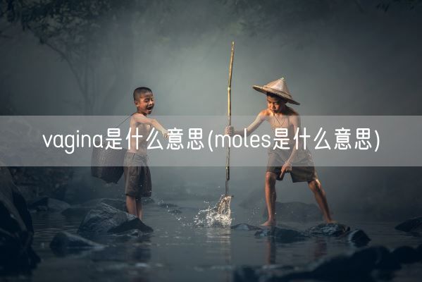 vagina是什么意思(moles是什么意思)(图1)