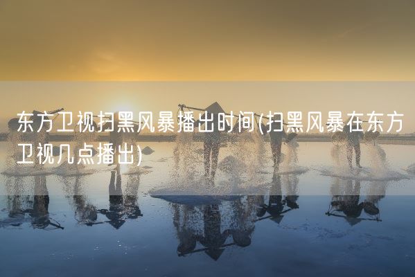 东方卫视扫黑风暴播出时间(扫黑风暴在东方卫视几点播出)(图1)