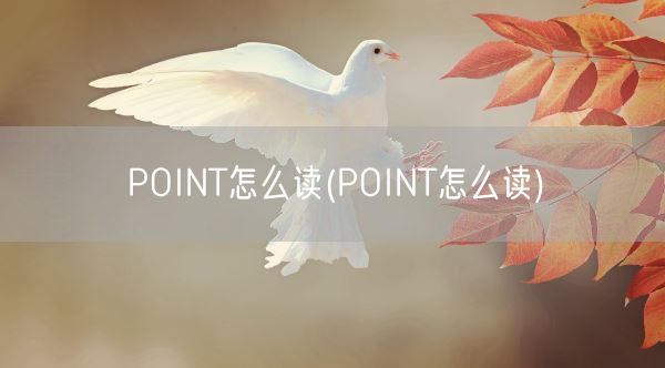 POINT怎么读(POINT怎么读)(图1) POINT怎么读(POINT怎么读)(图1)