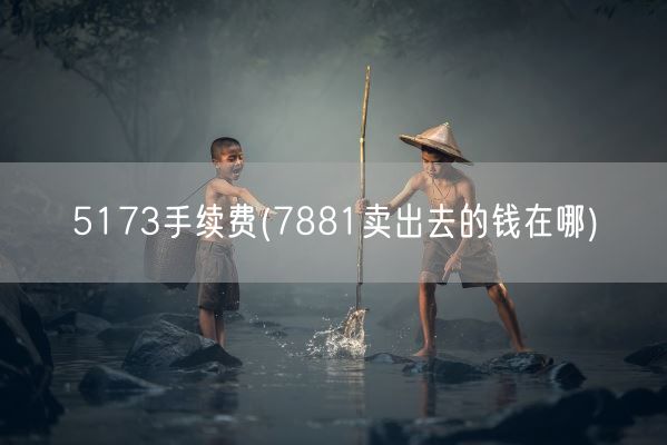5173手续费(7881卖出去的钱在哪)(图1)