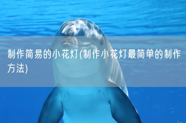 制作简易的小花灯(制作小花灯最简单的制作方法)(图1)
