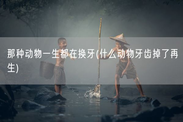 那种动物一生都在换牙(什么动物牙齿掉了再生)(图1)