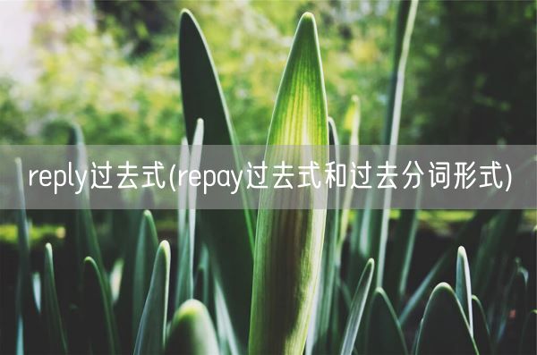 reply过去式(repay过去式和过去分词形式)(图1)