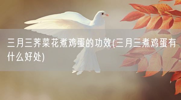 三月三荠菜花煮鸡蛋的功效(三月三煮鸡蛋有什么好处)(图1)