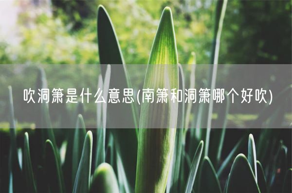 美的小家电维修(小家电维修学校)(图1)