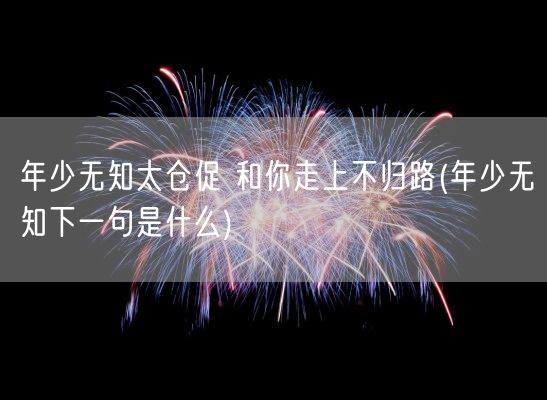 年少无知太仓促 和你走上不归路(年少无知下一句是什么)(图1)