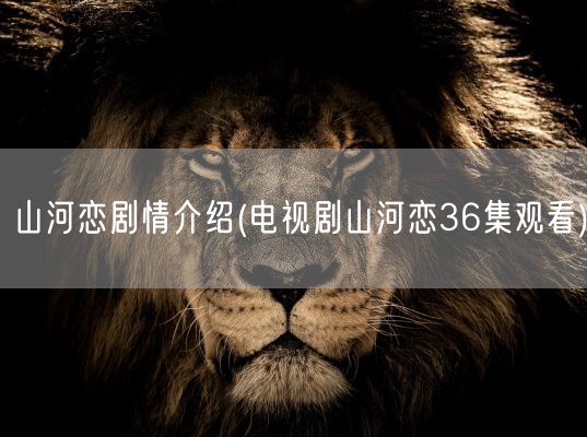 山河恋剧情介绍(电视剧山河恋36集观看)(图1) 山河恋剧情介绍(电视剧山河恋36集观看)(图1)