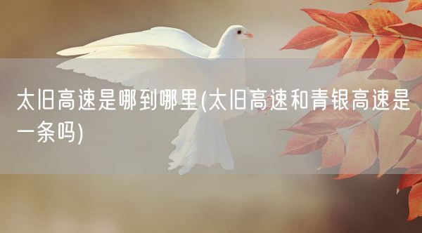 太旧高速是哪到哪里(太旧高速和青银高速是一条吗)(图1) 太旧高速是哪到哪里(太旧高速和青银高速是一条吗)(图1)