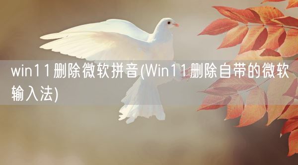 win11删除微软拼音(Win11删除自带的微软输入法)(图1)
