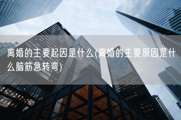 离婚的主要起因是什么(离婚的主要原因是什么脑筋急转弯)(图1)
