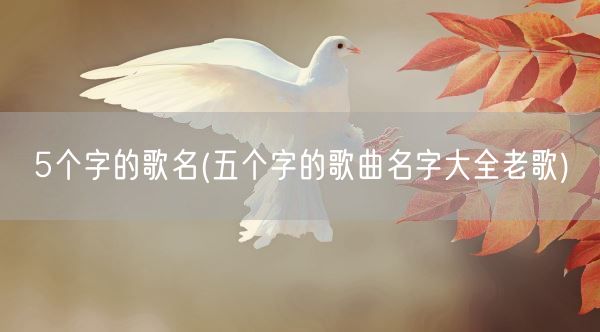 5个字的歌名(五个字的歌曲名字大全老歌)(图1)