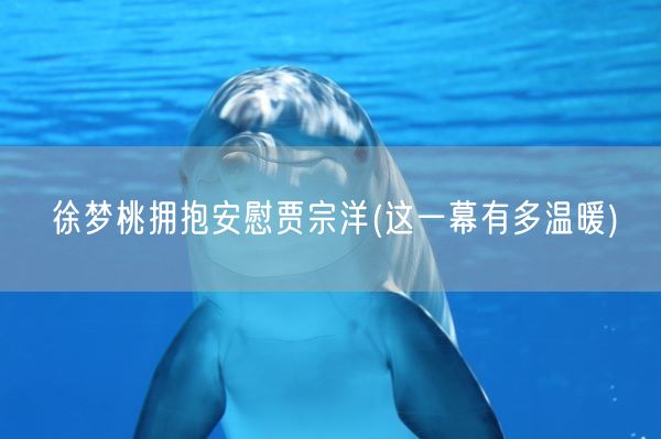 徐梦桃拥抱安慰贾宗洋(这一幕有多温暖)(图1)