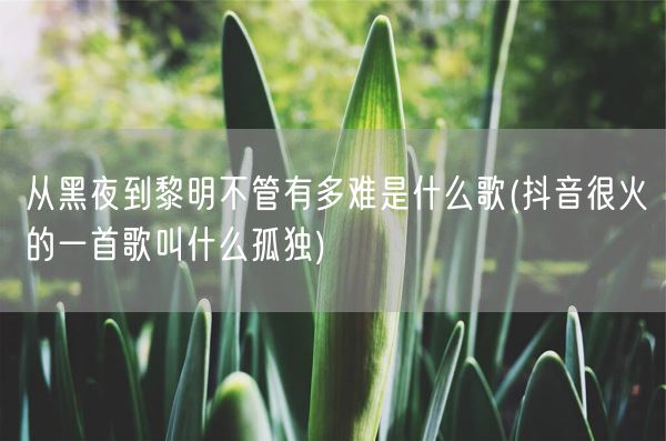 从黑夜到黎明不管有多难是什么歌(抖音很火的一首歌叫什么孤独)(图1) 从黑夜到黎明不管有多难是什么歌(抖音很火的一首歌叫什么孤独)(图1)