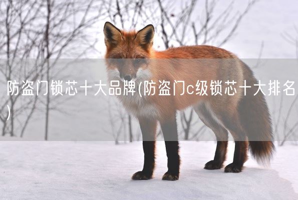 防盗门锁芯十大品牌(防盗门c级锁芯十大排名)(图1)