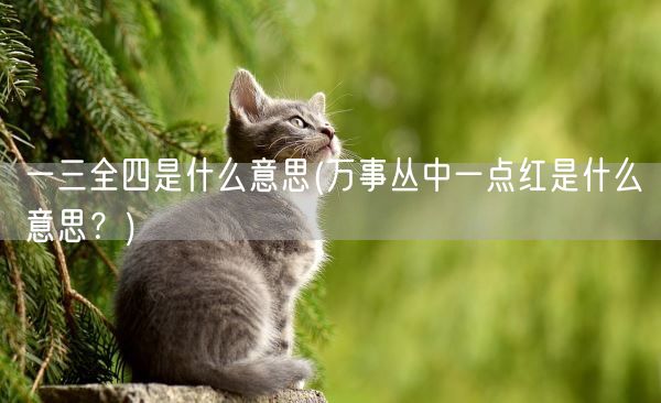 一三全四是什么意思(万事丛中一点红是什么意思？)(图1)