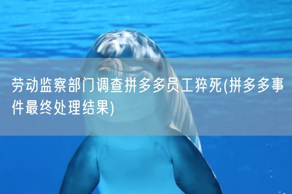 劳动监察部门调查拼多多员工猝死(拼多多事件最终处理结果)(图1) 劳动监察部门调查拼多多员工猝死(拼多多事件最终处理结果)(图1)