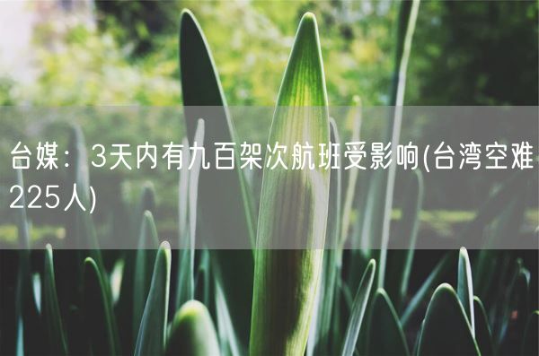 台媒：3天内有九百架次航班受影响(台湾空难225人)(图1)