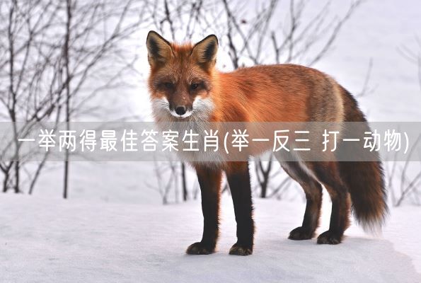 一举两得最佳答案生肖(举一反三 打一动物)(图1)