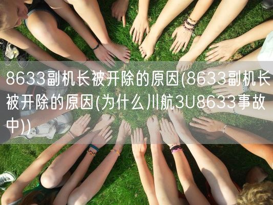 8633副机长被开除的原因(8633副机长被开除的原因(为什么川航3U8633事故中))(图1)