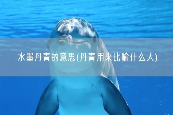 水墨丹青的意思(丹青用来比喻什么人)(图1) 水墨丹青的意思(丹青用来比喻什么人)(图1)